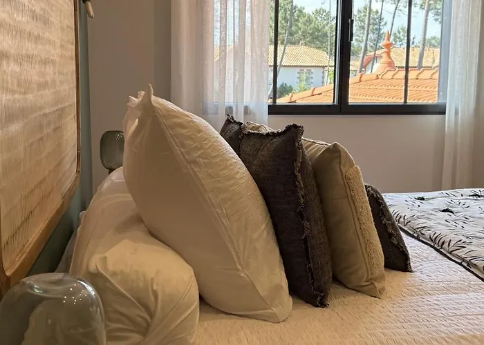 Le Clos Des Pins 別荘 *